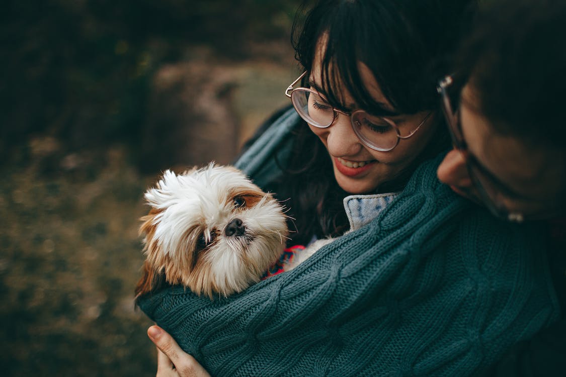 5 ways to love your pets