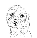 Load image into Gallery viewer, Digital Only - Custom Pet Portraits - Pet Portraits Company  
